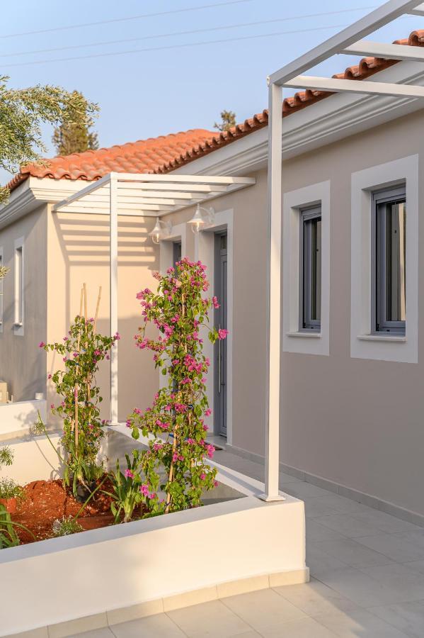 Dionisos Apartment