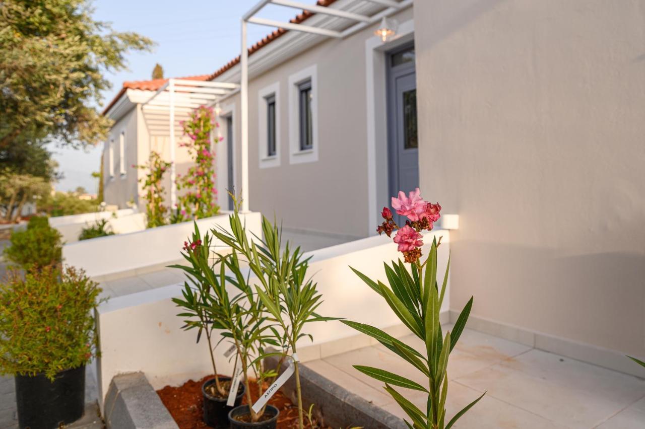 Apartment Dionisos *